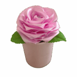 Pots floraux