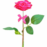 Fleurs