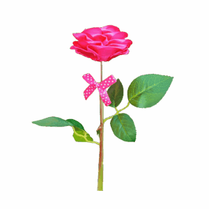 Rose unique rose
